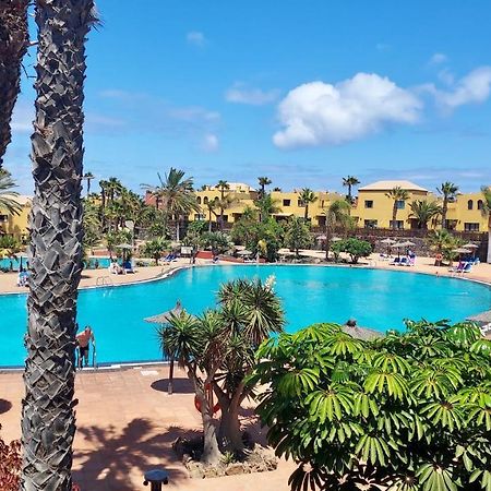 Tamarindo 41, Big Pool,Next To The Dunes. Corralejo Zewnętrze zdjęcie